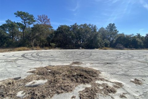 Land in Kissimmee, Florida № 2161666 - photo 6