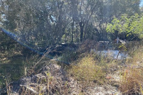 Land in Kissimmee, Florida № 2161666 - photo 2