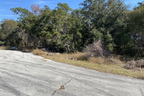 Land in Kissimmee, Florida № 2161666 - photo 8