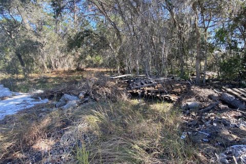 Land in Kissimmee, Florida № 2161666 - photo 4