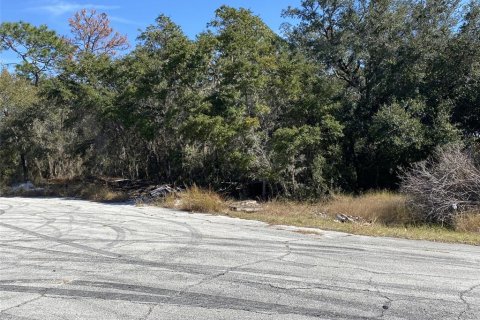 Land in Kissimmee, Florida № 2161666 - photo 9