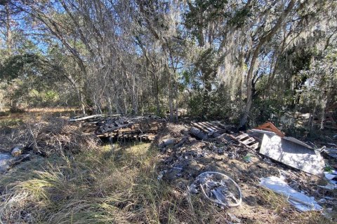 Land in Kissimmee, Florida № 2161666 - photo 3