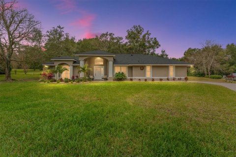 House in Mount Dora, Florida 3 bedrooms, 209.12 sq.m. № 1651862 - photo 1