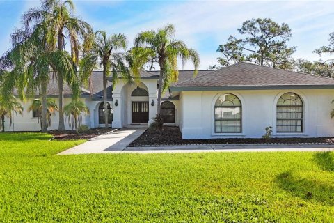 Villa ou maison à vendre à Plant City, Floride: 5 chambres, 286.51 m2 № 1912201 - photo 1