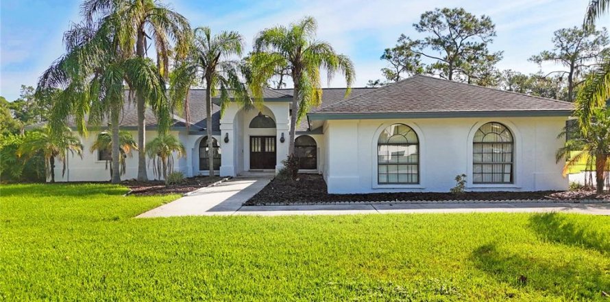Villa ou maison à Plant City, Floride 5 chambres, 286.51 m2 № 1912201