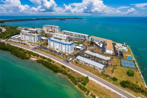 Condo à Dunedin, Floride, 3 chambres  № 2126613