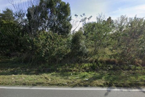 Terreno en venta en Lakeland, Florida № 2102193 - foto 2