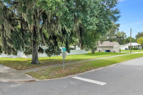 Land in Auburndale, Florida № 2380546 - photo 2