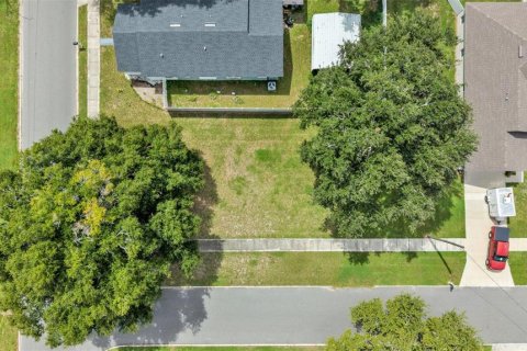 Land in Auburndale, Florida № 2380546 - photo 6