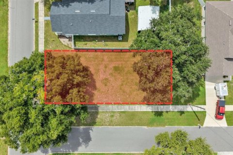 Land in Auburndale, Florida № 2380546 - photo 3