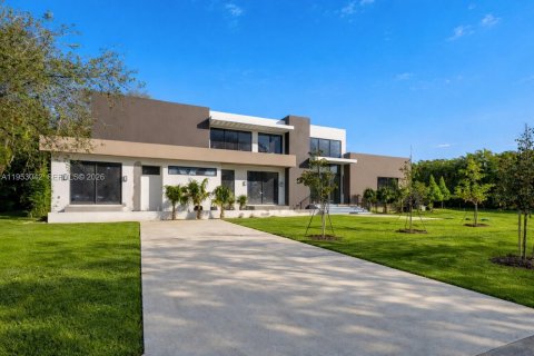 Villa ou maison à Pinecrest, Floride 6 chambres № 2025082