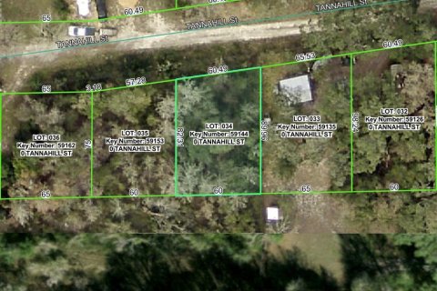 Terrain à Dade City, Floride № 2159811