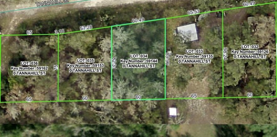 Terrain à Dade City, Floride № 2159811