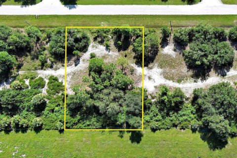 Land in Punta Gorda, Florida № 2164376 - photo 7