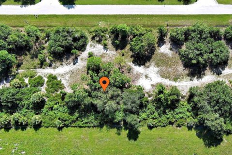 Land in Punta Gorda, Florida № 2164376 - photo 4