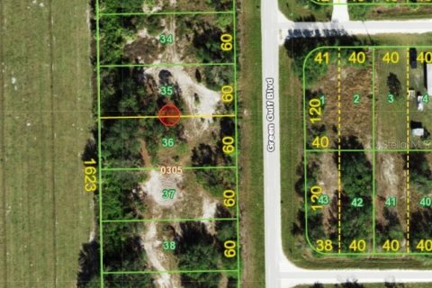Land in Punta Gorda, Florida № 2164376 - photo 5