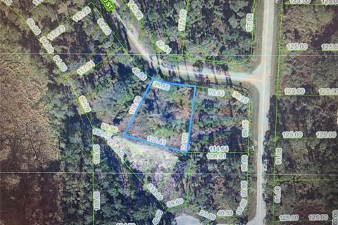 Terrain à Sebring, Floride № 2228888