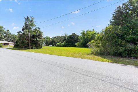 Terreno en venta en Homosassa, Florida № 2213472 - foto 6