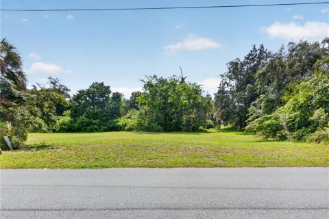 Terreno en venta en Homosassa, Florida № 2213472 - foto 5