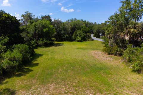 Terreno en venta en Homosassa, Florida № 2213472 - foto 21