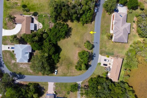 Terreno en venta en Homosassa, Florida № 2213472 - foto 12