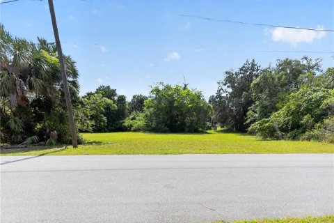 Terreno en venta en Homosassa, Florida № 2213472 - foto 2