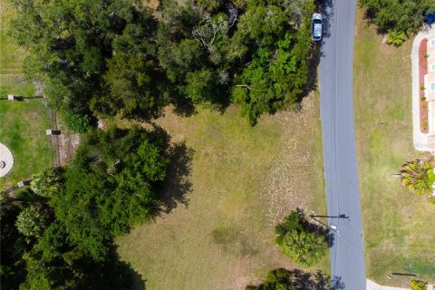 Terreno en venta en Homosassa, Florida № 2213472 - foto 22