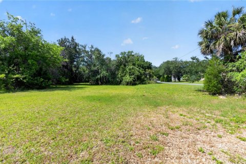 Terreno en venta en Homosassa, Florida № 2213472 - foto 7