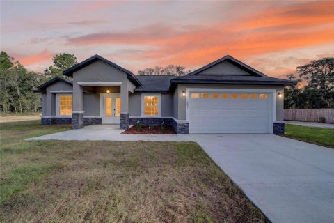 Villa ou maison à Dunnellon, Floride 3 chambres, 170.1 m2 № 2375544