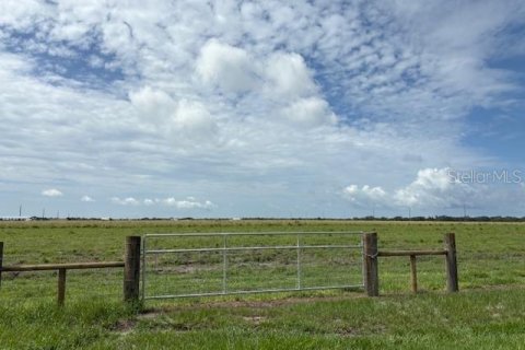 Terreno en venta en Arcadia, Florida № 1894167 - foto 2