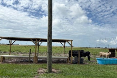 Terreno en venta en Arcadia, Florida № 1894167 - foto 4