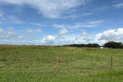 Terreno en venta en Arcadia, Florida № 1894167 - foto 3