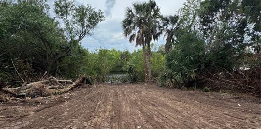 Terrain à Port Charlotte, Floride № 2213747