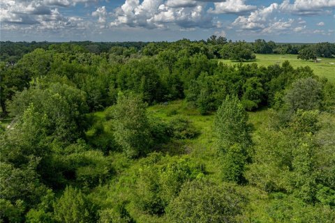 Купить земельный участок в Зеферхиллс-Норт, Флорида № 1831218 - фото 19
