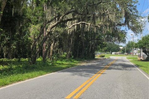 Land in Osteen, Florida № 2219164 - photo 8