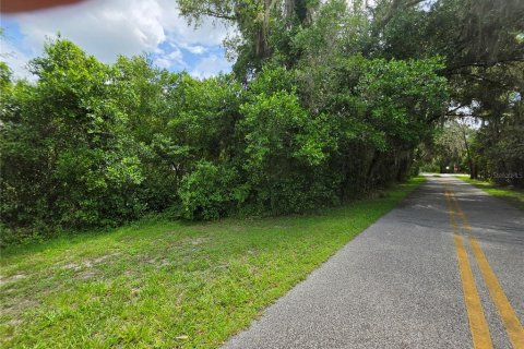 Land in Osteen, Florida № 2219164 - photo 2