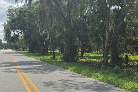 Land in Osteen, Florida № 2219164 - photo 9