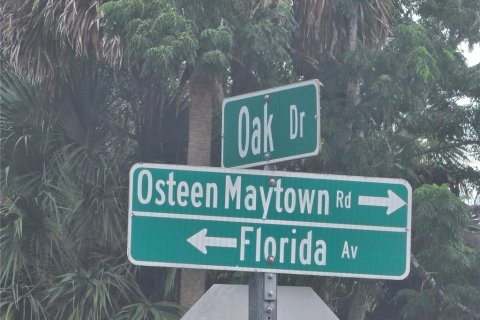 Land in Osteen, Florida № 2219164 - photo 6