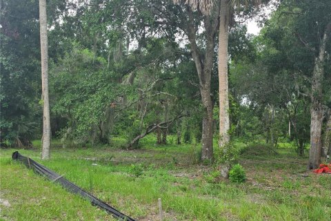 Land in Osteen, Florida № 2219164 - photo 5