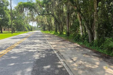 Land in Osteen, Florida № 2219164 - photo 11