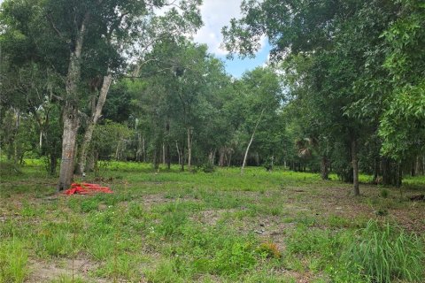 Terrain à Osteen, Floride № 2219164