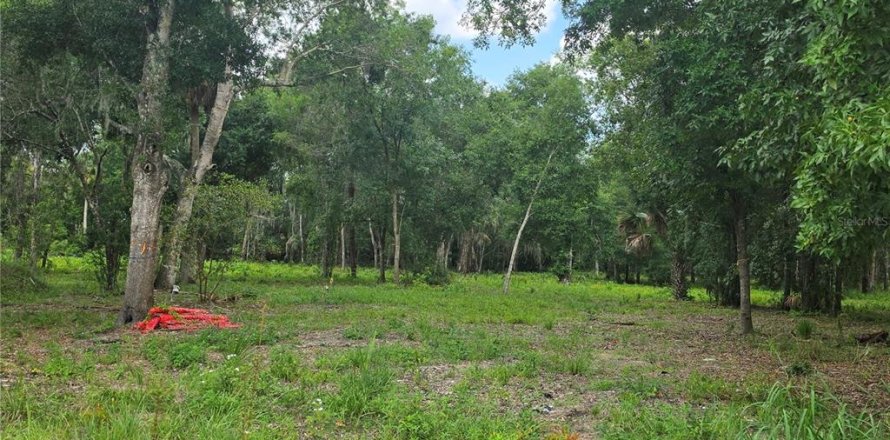 Land in Osteen, Florida № 2219164