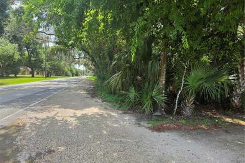 Land in Osteen, Florida № 2219164 - photo 10