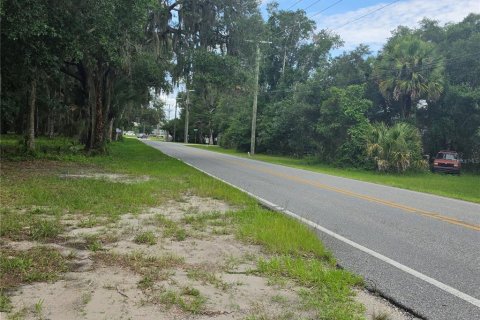 Land in Osteen, Florida № 2219164 - photo 4