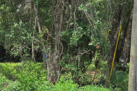 Land in Osteen, Florida № 2219164 - photo 7