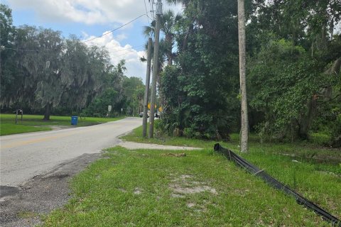 Land in Osteen, Florida № 2219164 - photo 3