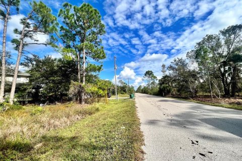 Land in Punta Gorda, Florida № 2159985 - photo 4