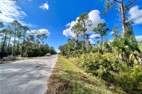 Land in Punta Gorda, Florida № 2159985 - photo 3