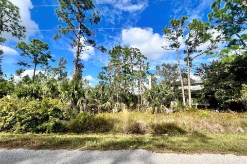 Land in Punta Gorda, Florida № 2159985