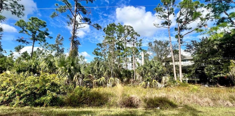 Land in Punta Gorda, Florida № 2159985